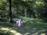 Delville Wood today (see the adjacent Delville Wood Cemetery 360 deg link)